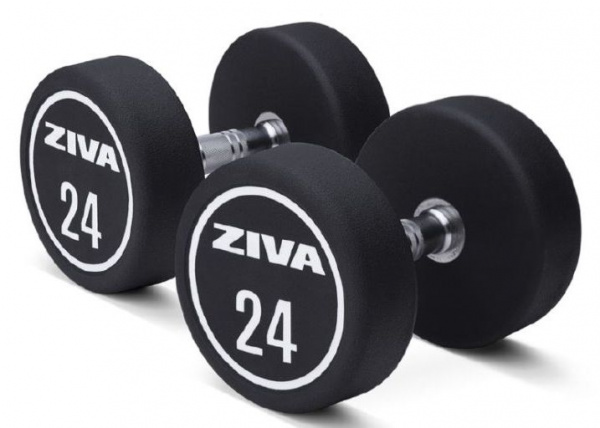 Набор гантелей уретановых Ziva 2-50 кг