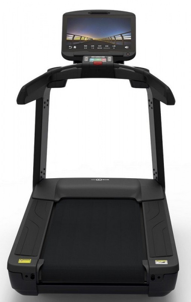 Беговая дорожка CardioPower Pro CT550