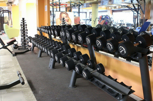 Гантельный ряд Profi-Fit Professional 27,5 кг - 50 кг (10 пар), шаг 2,5 кг