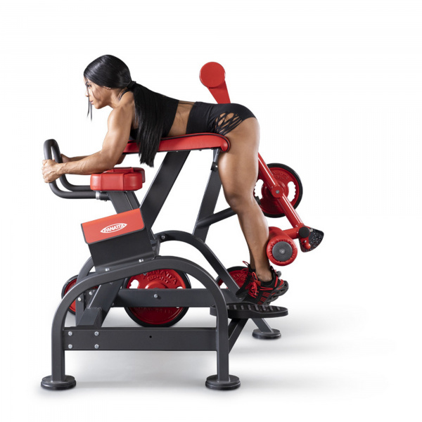 Обратная гиперэкстензия Panatta 1FW096